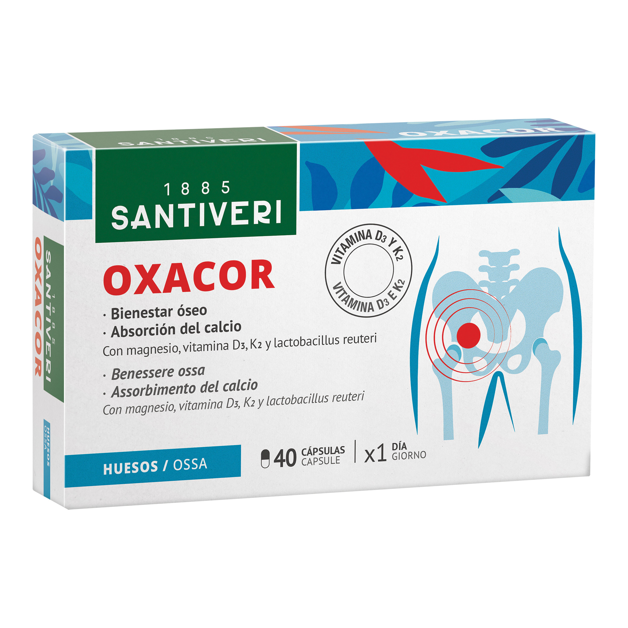 Oxacor k2 blister 40 capsule