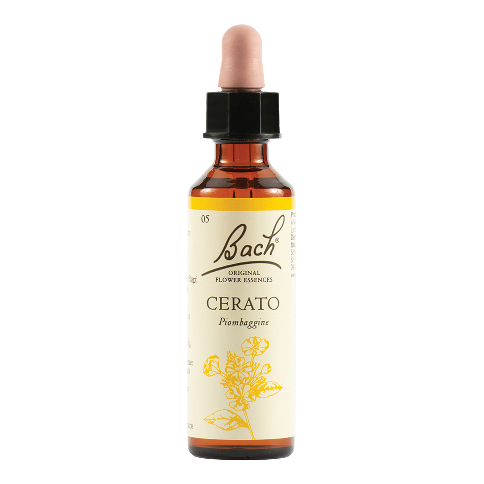 Cerato bach orig 20 ml