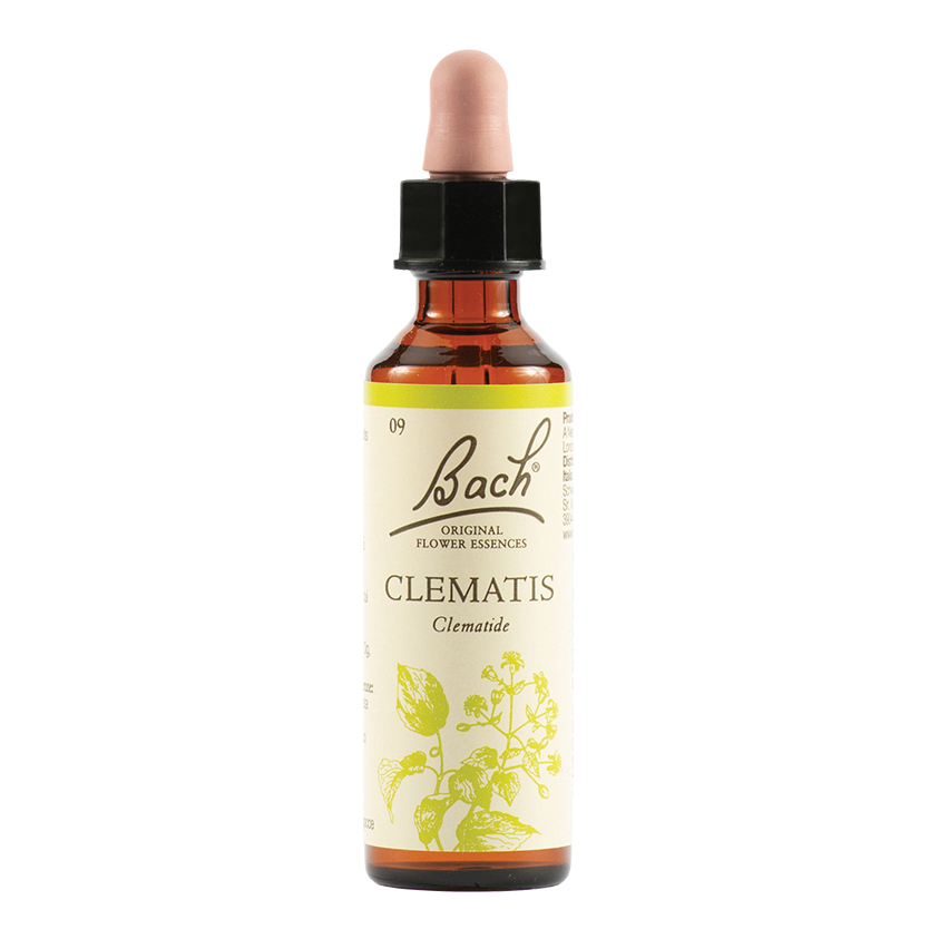 Clematis bach orig 20 ml