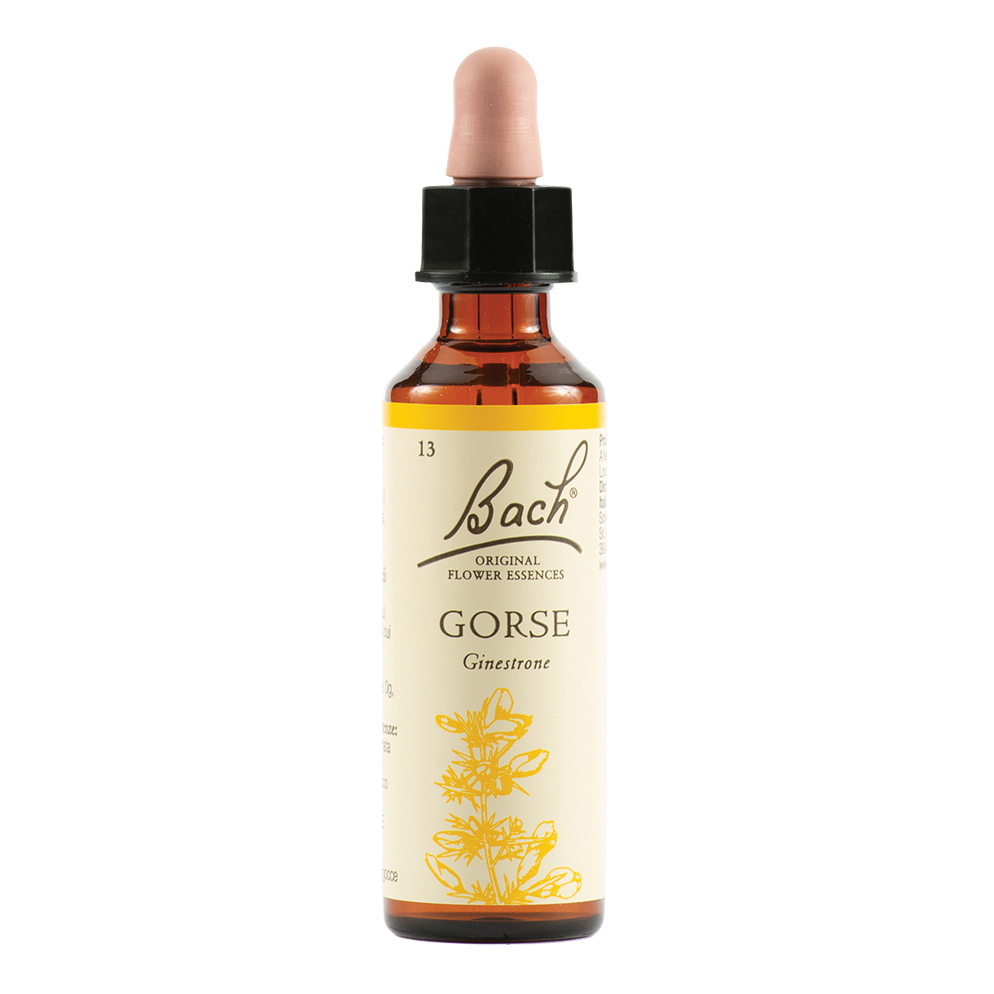 Gorse bach orig 20 ml