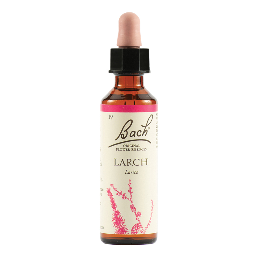 Larch bach orig 20 ml