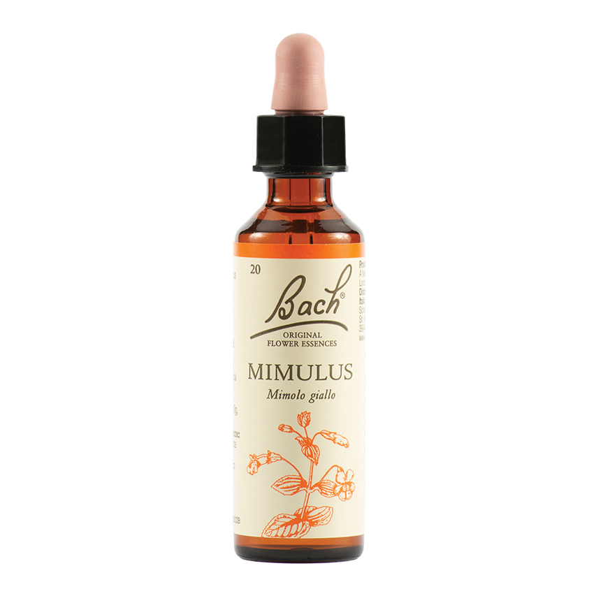 Mimulus bach orig 20 ml