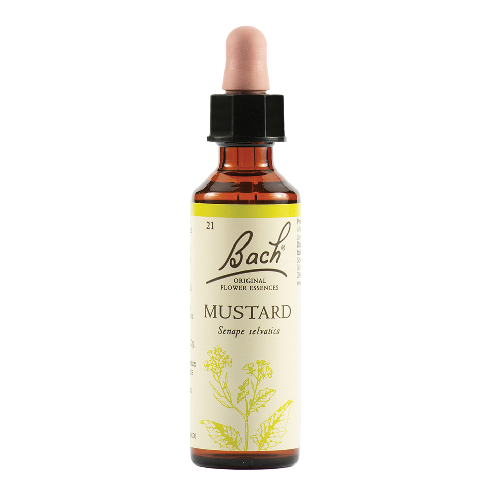Mustard bach orig 20 ml