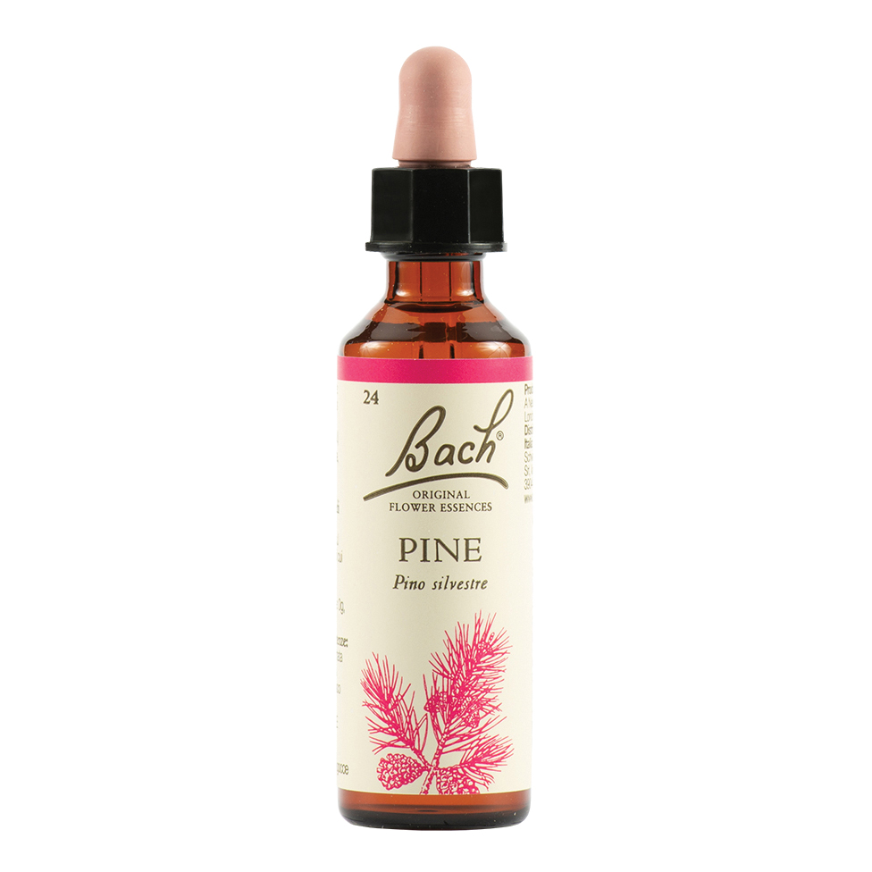 Pine bach orig 20 ml