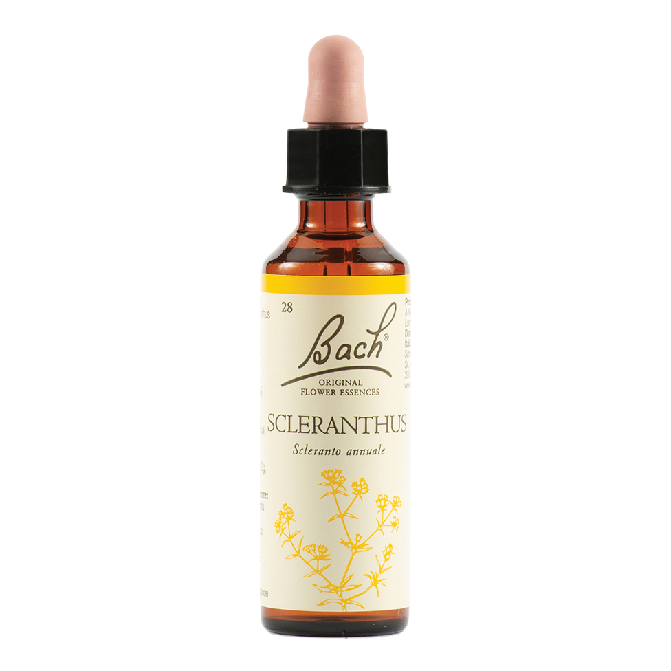 Sclerantus bach orig 20 ml