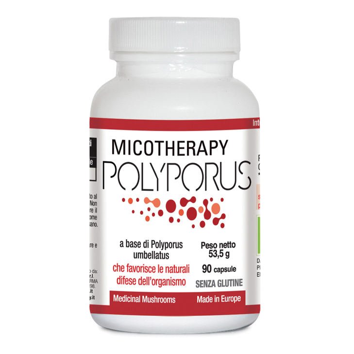 Micotherapy polyporus 90 capsule