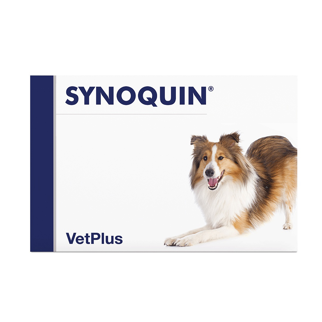 Synoquin efa medium breed 30 compresse