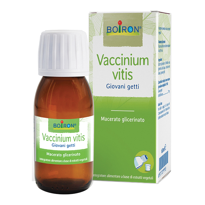 Vaccinium vitis macerato glicerico 60 ml int