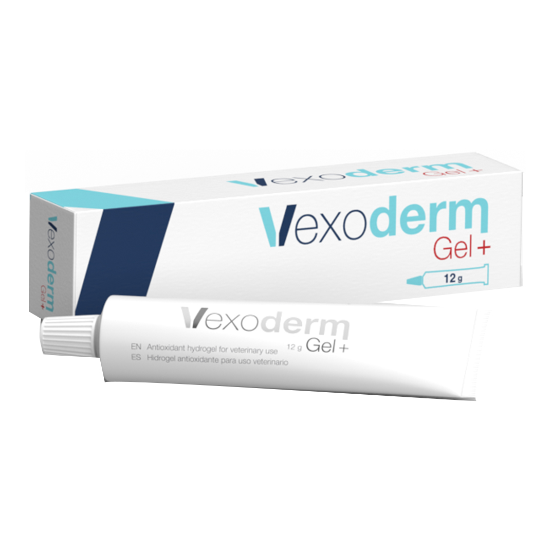 Vexoderm gel piu' 12 g