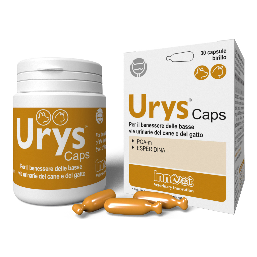 Urys caps 30 capsule