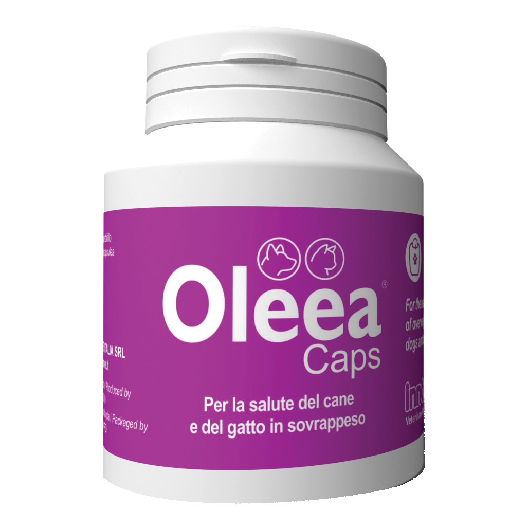 Oleea caps 60 capsule