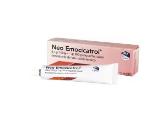 Neo-emocicatrol 1mg/g + 20 mg/g unguento nasale