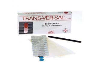 Trans-ver-sal