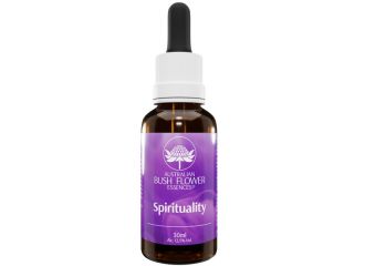 Spirituality ess.gtt 30ml