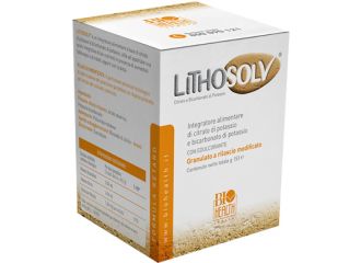Lithosolv 153 g + 20 strisce