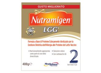 Nutramigen 2 lgg polvere 400 g