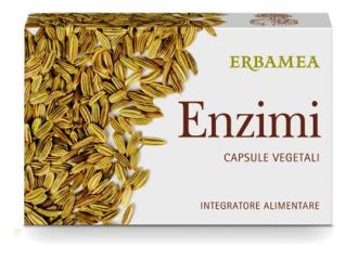 Enzimi 24 capsule vegetali