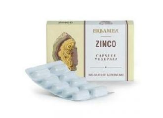 Zinco 24 capsule vegetali