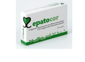 Epatocor 20 capsule