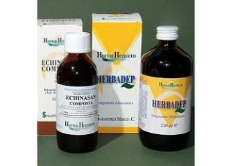 Echinasan comp 150 ml