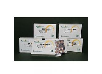 Ginkgosan 60 compresse 400 mg