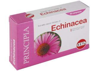 Echinacea estratto secco 60 compresse