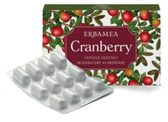 Cranberry 24 capsule