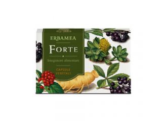 Forte 24 capsule