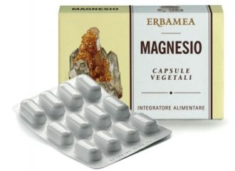 Magnesio 24 capsule 1200 mg