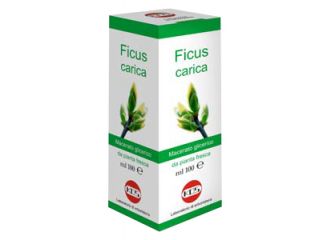 Ficus carica mg 100 ml gocce