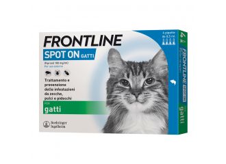 Frontline*4pip gatti
