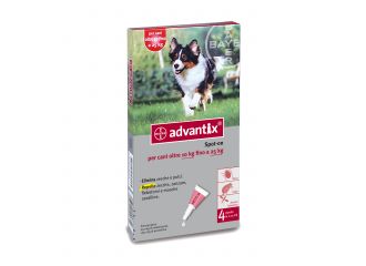 Advantix spot on*4pip 10-25kg