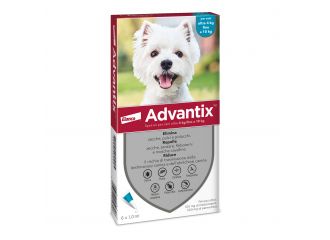 Advantix spot on*6pip 10-25kg