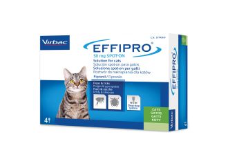 Effipro spot-on  4 pip.gatto