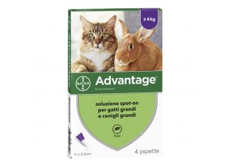 Advantage*4pip 0,8ml spoton