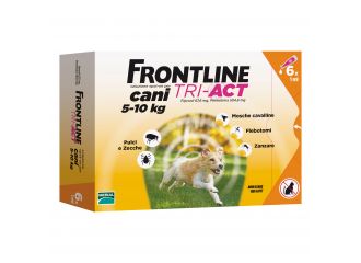 Frontline tri-act.6 pip.1ml