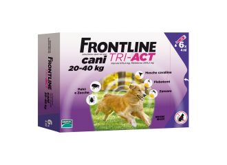 Frontline tri-act.6 pip.4ml