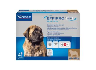 Effipro duo cane 40-60(4x4,02)