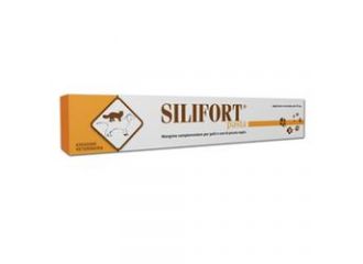 Silifort pasta os siringa 15 g
