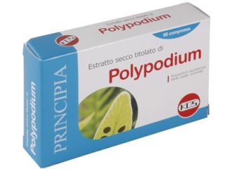 Polypodium estratto secco 60 compresse vegetali