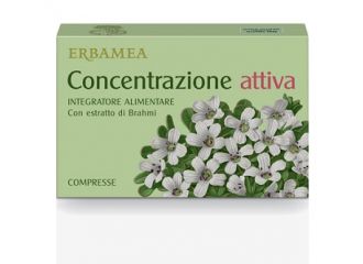 Concentrazione attiva 24 compresse