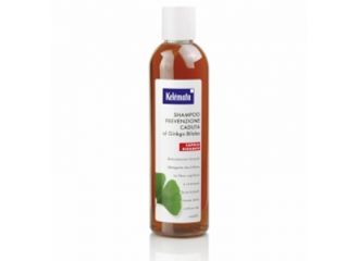 Shampoo prevenzione caduta al ginkgo biloba 250 ml