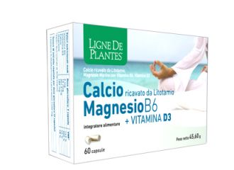 Calcio + magnesio b6 + vitamina d3 60 capsule
