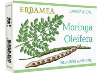 Moringa oleifera 24 capsule