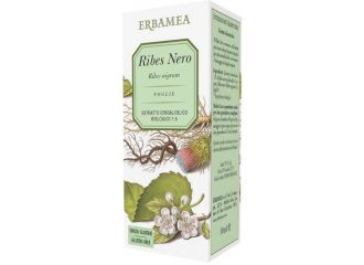 Ribes nero 50 ml