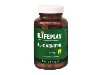 L-carnitine 500mg 60 capsule