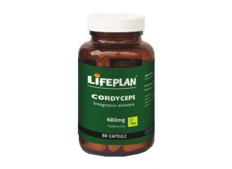 Cordyceps 60 capsule