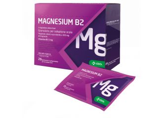Magnesium b2 300/2mg 20 bustine
