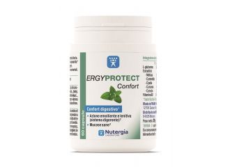 Ergyprotect confort 60 capsule 31 g