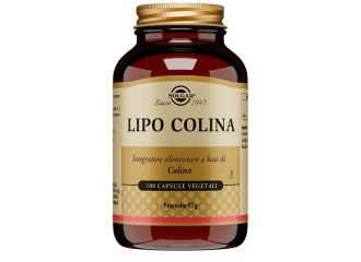 Lipo colina 100 capsule vegetali